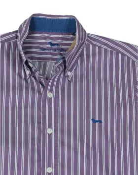 CAMISA HARMONT & BLAINE HOMBRE MALVA RAYAS BLANCAS